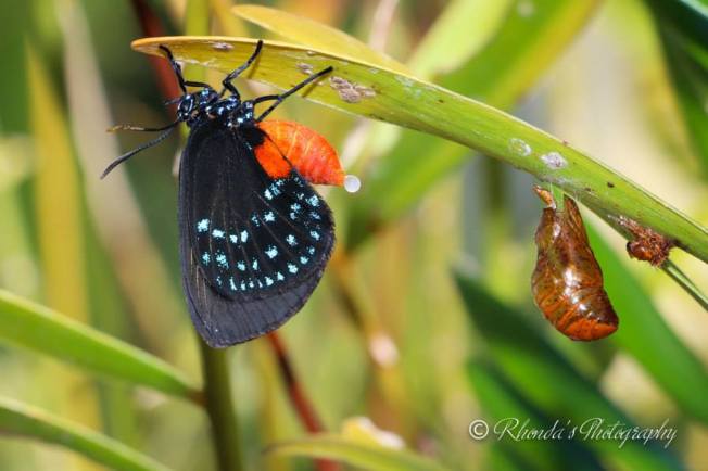 10530805_10152539181538720_7306525148033947757_n