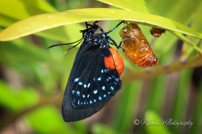 10703931_10152539084318720_4254043938657181472_n