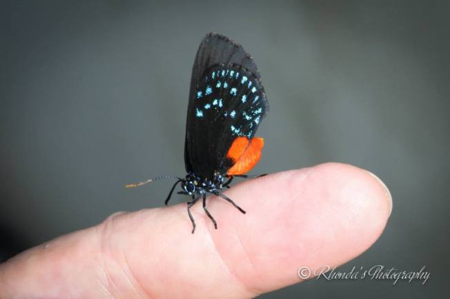 1904051_10152539181463720_3683578272660806029_n