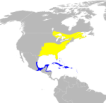 220px-Parula_americana_map.svg