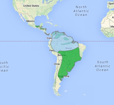 Range Map Cornell (Neotropical) jpg