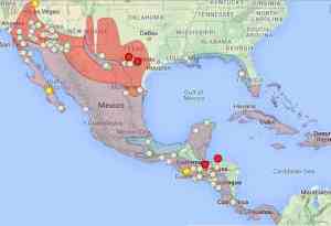 White-winged Dove Range - Xeno Canto