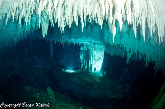 Dan's Cave, Abaco (©Brian Kakuk)