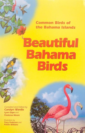 Beautiful Bahama Birds 1