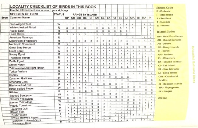 Beautiful Bahama Birds 11