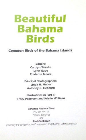 Beautiful Bahama Birds 3