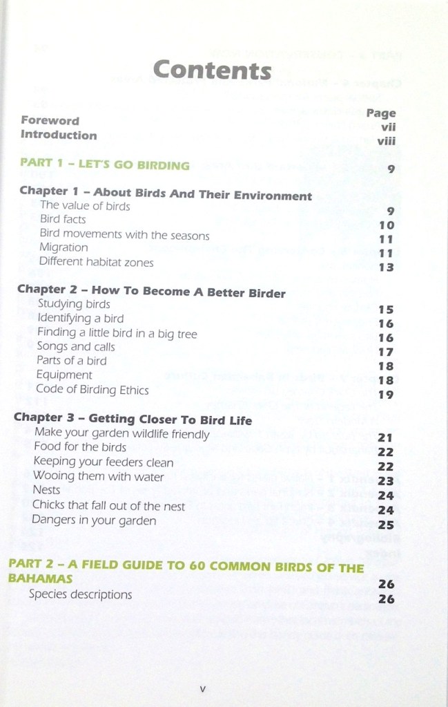 Beautiful Bahama Birds 4