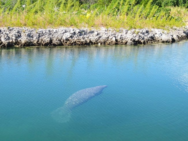 10849995_10152589661598178_1824081022417510310_n