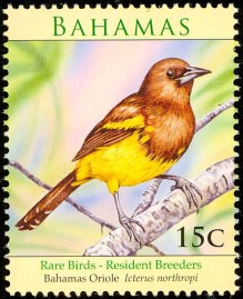Bahama Oriole Stamp birdtheme.org