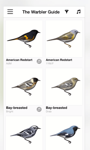 The Warbler Guide App (Princeton)