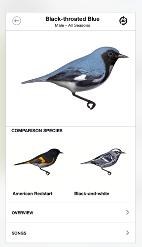 The Warbler Guide App (Princeton)