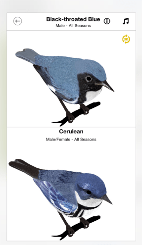 The Warbler Guide App (Princeton)