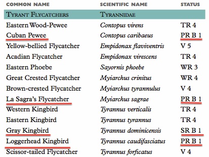 Tyrant Flycatcher Checklist jpg