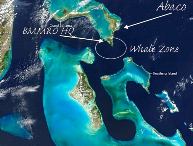 Great Bahama Canyon Map edit