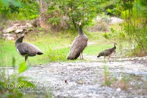 10306740_10152397712968720_2616129013617847509_n