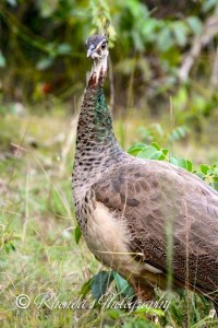 10345763_10152398046303720_8315779621600880072_n