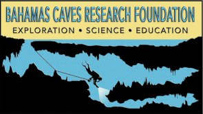 1002854_695092837184143_1927820121_n