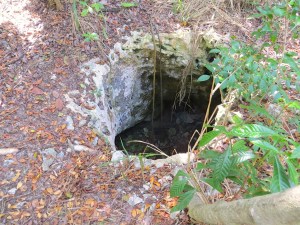 Limestone Hole, Hole-in-the-Wall Abaco01