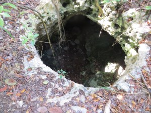 Limestone Hole, Hole-in-the-Wall Abaco03