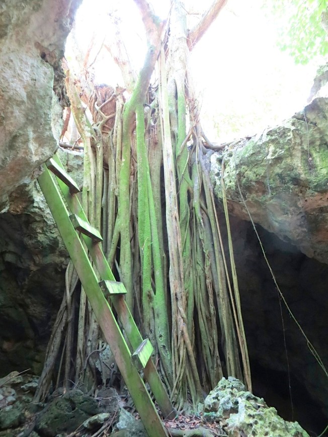 Limestone Hole, Hole-in-the-Wall Abaco13