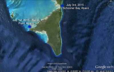 Randy the Abaco Manatee goes swimabout