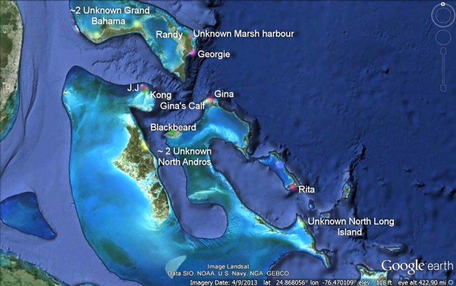 Bahamas Manatee Location Map - Aug 2015 (Felice Leanne Knowles)