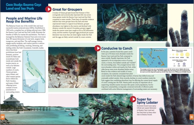 Marine Protected Areas Bahamas 6