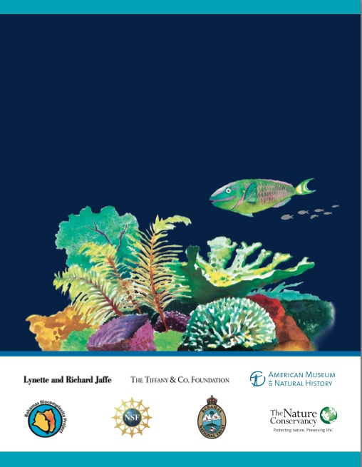 Marine Protected Areas Bahamas 9