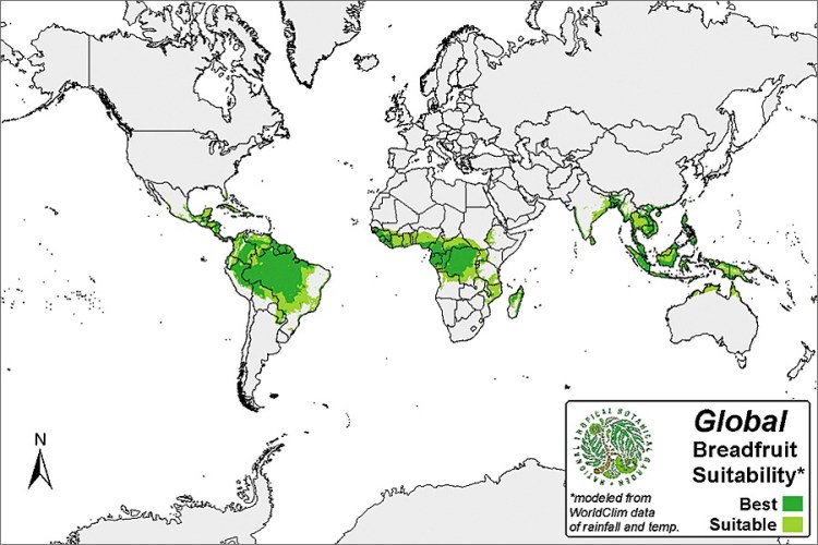 Breadfruit - the world propagation range