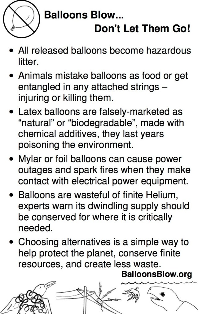 Balloons Blow fact sheet