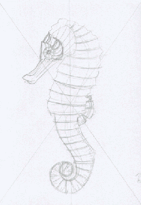 Seahorse by Alex Konahin copy