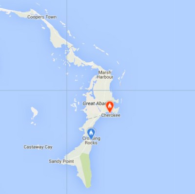 Whimbrel sightings Abaco