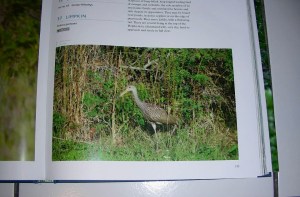 1926631_10152104925178929_80294246_n