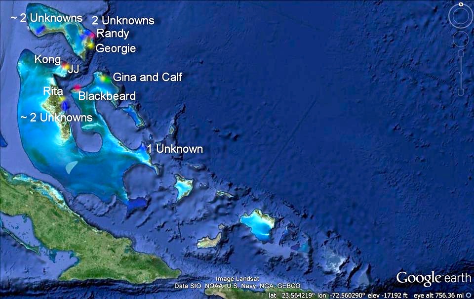 12241226_298174587019969_1571890190333376929_n