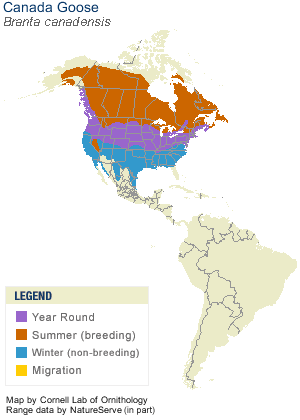 bran_cana_AllAm_map_new