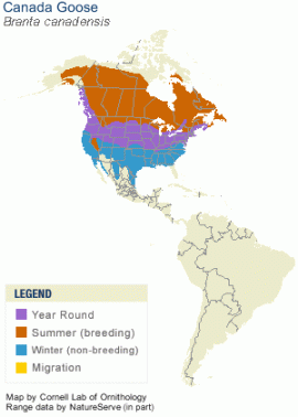 bran_cana_AllAm_map_new