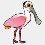 roseate-spoonbill