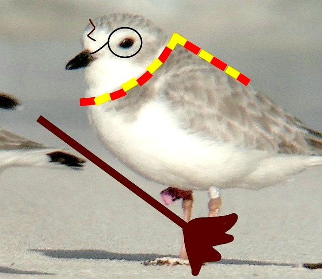 PIPL PINK22 Harry Potter π Stehanie Egger copy