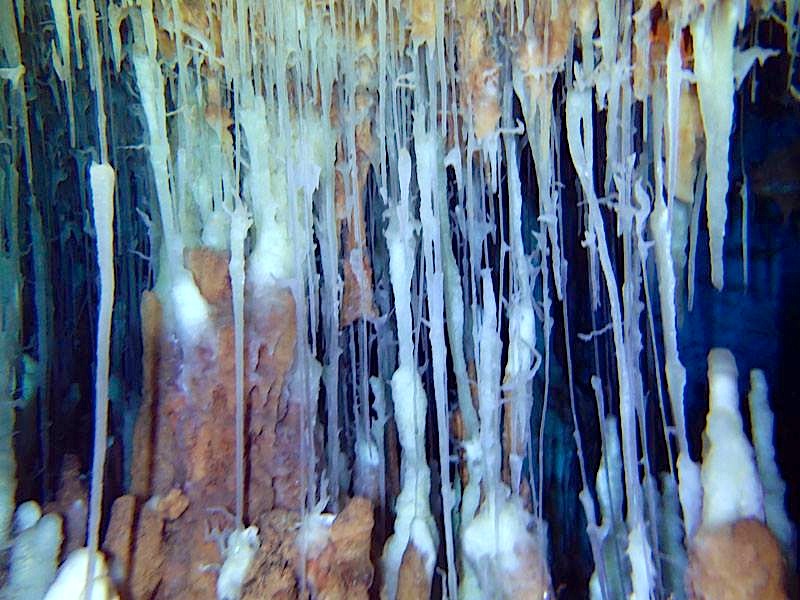 Abaco's Underground Caves (Hitoshi Miho, with Brian Kakuk)