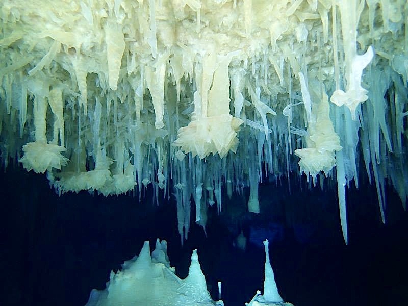 Abaco's Underground Caves (Hitoshi Miho, with Brian Kakuk)