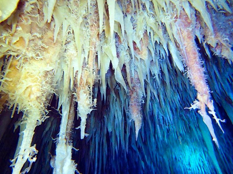 Abaco's Underground Caves (Hitoshi Miho, with Brian Kakuk)