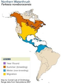 northern_waterthrush_rangemap(1)