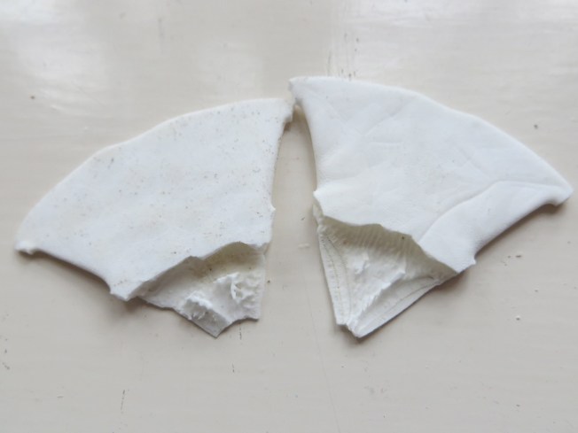 Sand Dollar Doves (Keith Salvesen) 5