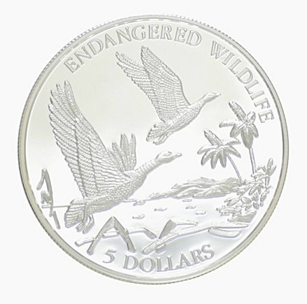 Whistling duck coin jpg