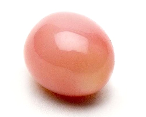 Conch Pearl (Ambergris Caye Beize)