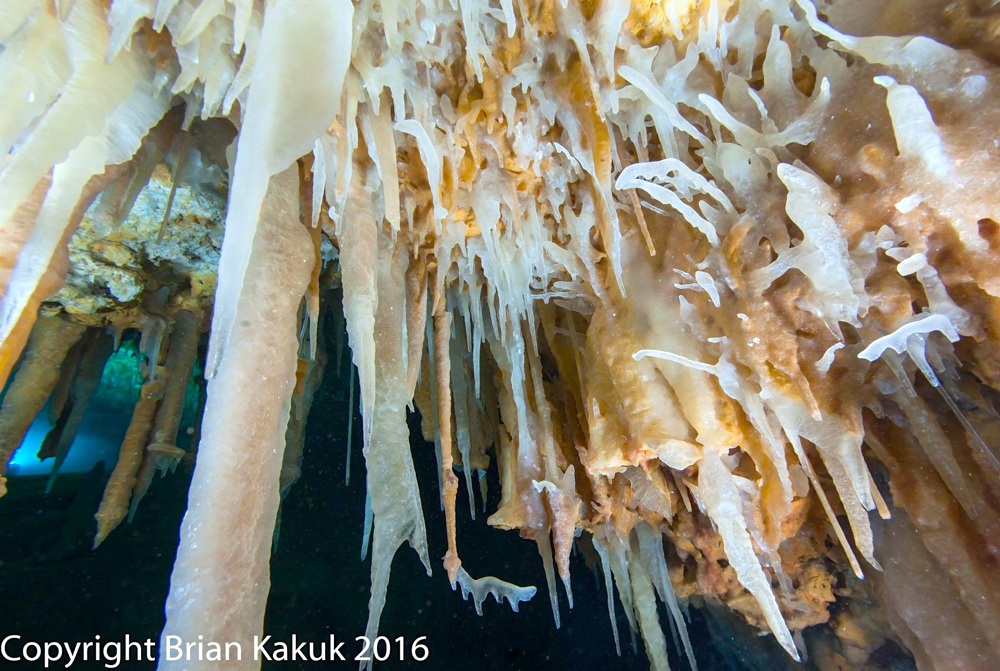 Crystal Visions: Ralph's Cave, South Abaco (Brian Kakuk)-1