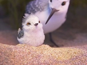 636005801449598138-piper-s200-107cs.sel16.577-RGB