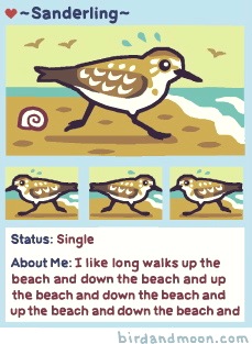 IMG_3834 - Version 2 copy