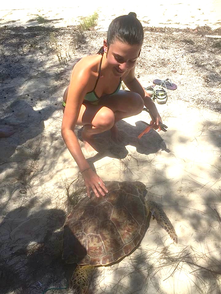 Turtle measuring project, Abaco