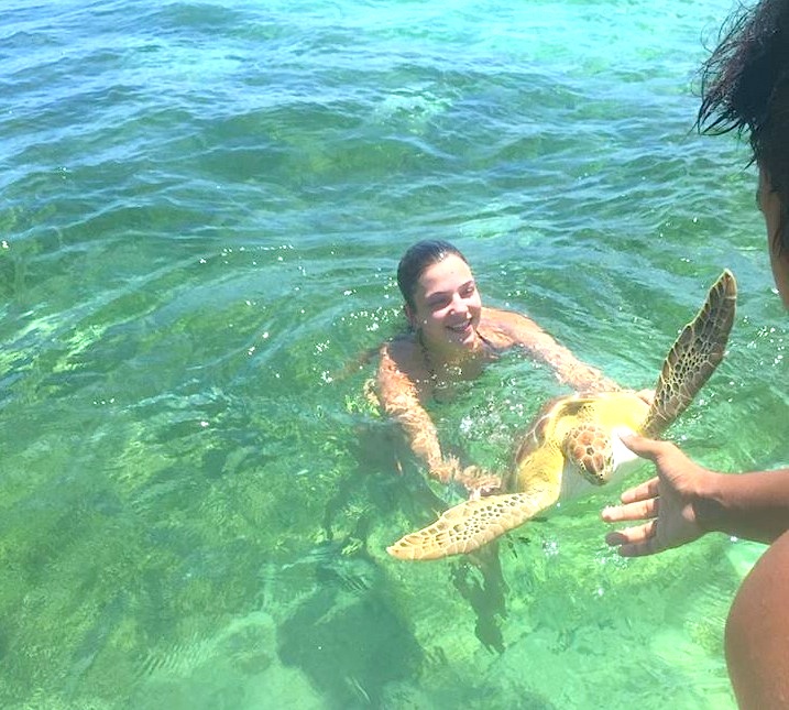 Turtle measuring project, Abaco